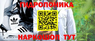 ГАЛЛЮЦИНОГЕННЫЕ ГРИБЫ Партизанск