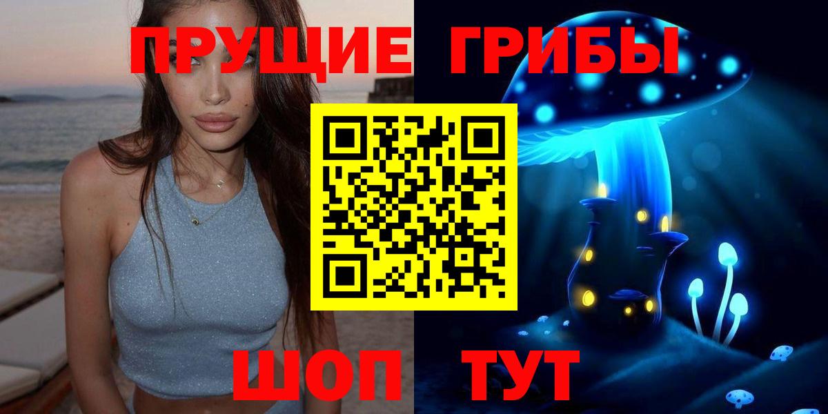 Галлюциногенные грибы прущие грибы Георгиевск