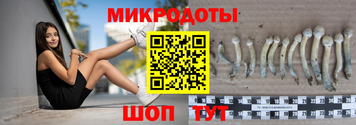 Георгиевск  Галлюциногенные грибы мицелий  Вход с VPN 